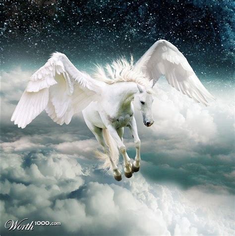 world  unicorn pegacorn pegasus images  pinterest