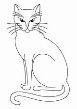 Cat Coloring Clipart Color Pages Library sketch template
