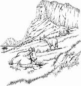 Coloring Pages Landscape Goats Mountain Adult Printable Adults Rocky Goat Mountains Scenery Realistic Coloring4free Detailed Landscapes Only Color Colouring Two sketch template