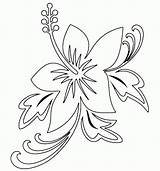 Coloring Luau Pages Printable Popular Library Coloringhome sketch template