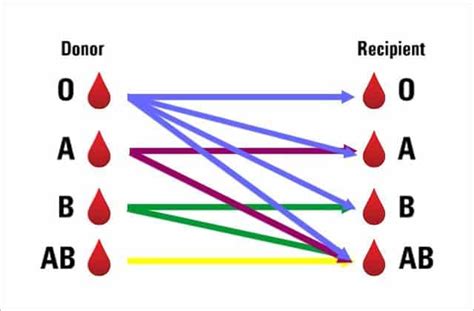 common blood type