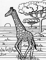 Giraffe Coloring Pages Printable Kids Adults Template Clipart Color Mask Print Spectacular Sampletemplatess Baby Getcolorings Library sketch template