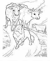 Coloring Pages Cow Dairy Farm Animal Kids Popular sketch template