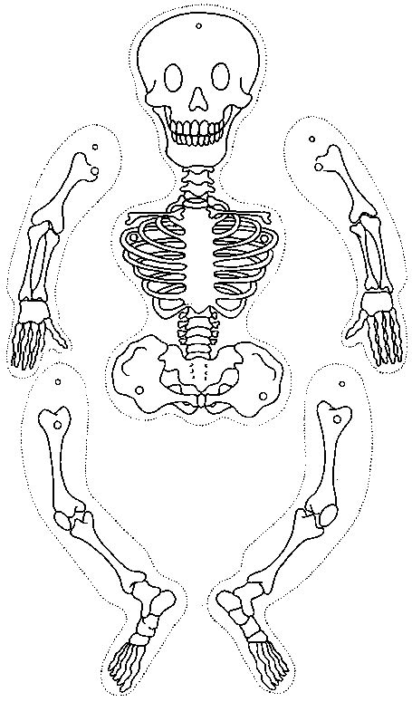 coloring  skeleton   cut  picture