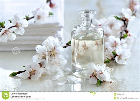 spa oil stock image image  beauty blossom bath hair