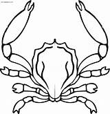 Crab Granchio Granchi Impressionante Categorie sketch template