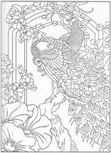 Coloring Pages Peacock Adult Books Dessin Paon Color Book Choose Board Kids Colouring Patterns sketch template