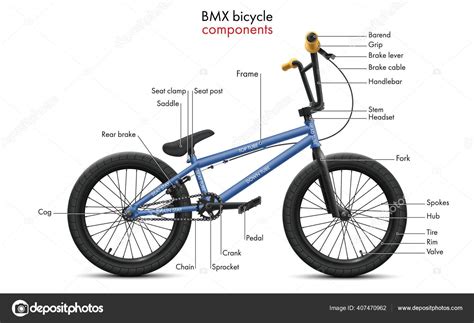 componentes bicicleta bmx etiquetados ilustracao tecnica vetor mostra diagrama das vetor de