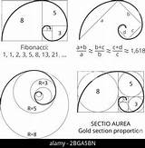 Golden Spiral Fibonacci Ratio Proportion Section Vector Illustration Spirals Visualization Gold Flat Icon Simple Color sketch template