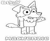 Coloring Pages Mackenzie Bluey Collie Border sketch template