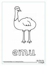 Emu Coloring Printable Emus Colouring Pages Tracing Finger Drawing Getcolorings Getdrawings Print Colour sketch template