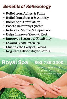 royal spa    reviews  columbia dr ne columbia