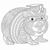 Guinea Zentangle Malvorlage Meerschweinchen Kleurende Freehand Stress sketch template