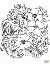 Coloring Bird Pages Flowers Hoopoe Eurasian Flower Printable Para Colorear Supercoloring Adult Super Drawing Patterns Beautiful Paper sketch template