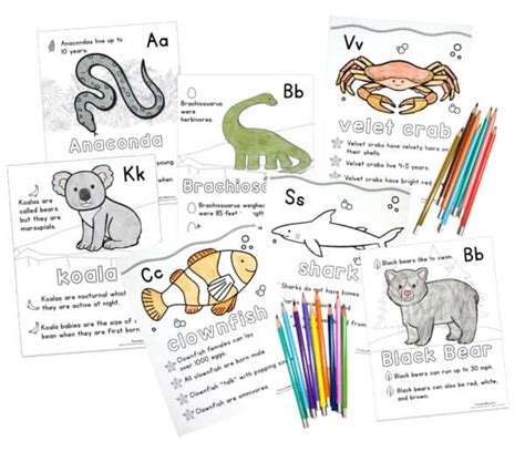 coloring pages   habitats  animals