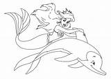 Ariel Dolphin Meerjungfrau Arielle Delfini Disneyclips Amordepapeis Sirenetta Schonsten Delfino Flounder Pintar sketch template