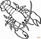 Coloring Lobster Pages Choose Board Crawfish Ocean sketch template