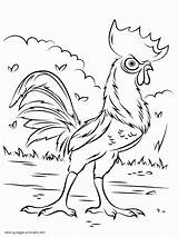 Coloring Moana Pages Hei Rooster Print Printable Pua Look Other Disney sketch template