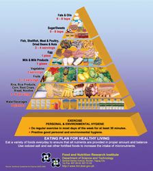 food pyramid ihealthylife