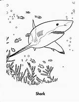 Shark Coloring Pages Clark Getcolorings Color Printable sketch template
