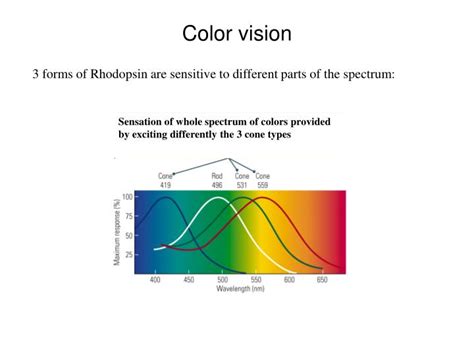 color vision powerpoint    id