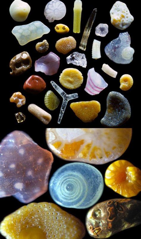 sand magnified    times rinterestingasfuck