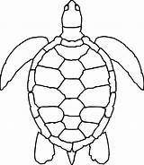 Turtle Sea Coloring Outline Drawing Pages Drawings Visit Pattern sketch template