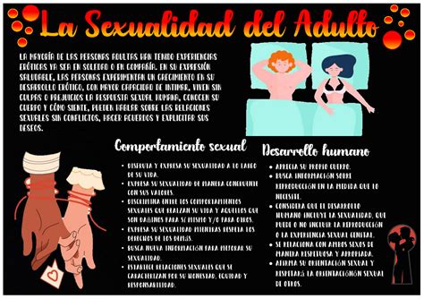 Infografia De Sexualidad Humana En El Adulto Universidad Privada Del