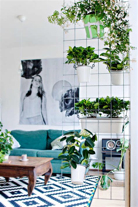 indoor garden ideas  wannabe gardeners  small spaces apartment therapy