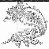 Coloring Paisley Pages Printable Easy Adults Getcolorings Color Peacock Template sketch template
