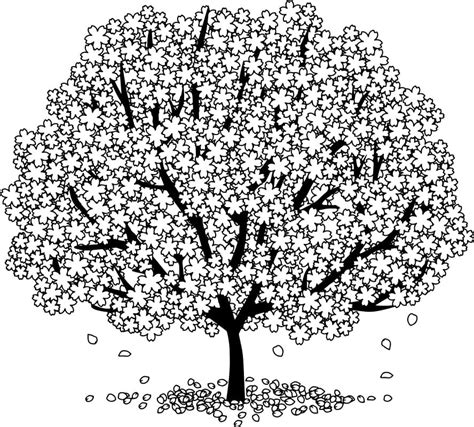 beautiful tree  spring coloring page  printable coloring pages