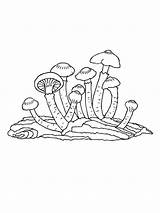 Mushrooms Pages Coloring Printable Print sketch template
