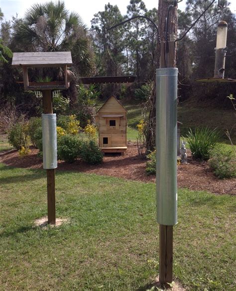 wooden  bird feeder post plans   ideas  bird feeder plans bird bird houses