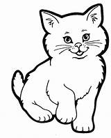Cat Face Coloring Easy Pages Drawing Cartoon Cute Realistic Sketch Template sketch template