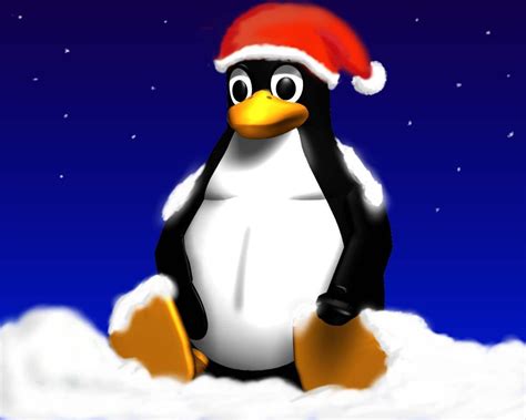 xmas penguin christmas animals