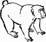 Monkey Clipart Coloring Line Book Wikiclipart sketch template