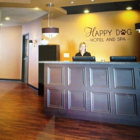 happy dog hotel  spa carmel