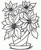 Nochebuena Poinsettia sketch template