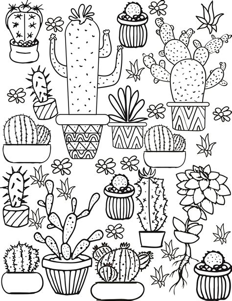 cacti  succulents coloring pagesjpg  paginas