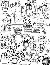 Coloring Pages Adult Cactus Succulent Printable Succulents Small Cacti Book sketch template