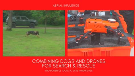 combining dogs  drones  search rescue youtube