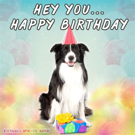 Funny Birthday Wishes And Messages