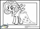 Pony Fluttershy Kartun Coloring99 Putri Papan Simpan sketch template
