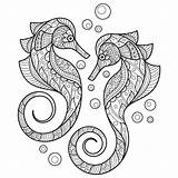 Cavalo Marinho Colorir Seahorse Desenhos Coloringbay sketch template