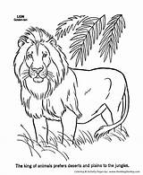 Coloring Lion Pages Wild Animals Printable Animal Kids Lions Male Sheets Realistic Colour Drawing Print Bestcoloringpagesforkids Sheet Safari Sea Book sketch template