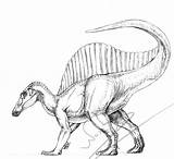 Spinosaurus Sketch Drawing Concept Dinosaur Drawings Dinosaurs Jurassic Park Sketches Legs Four Aegyptiacus Animal Getdrawings Choose Board Deviantart Fossils sketch template