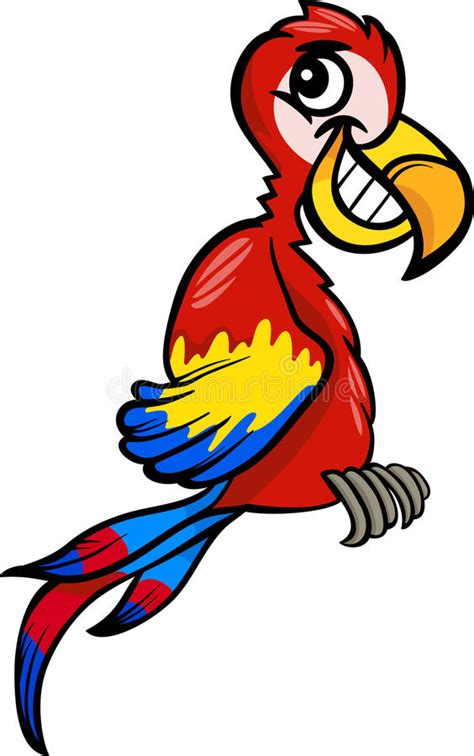 Macaw Clip Art Cartoon Illustration Royalty Free Stock