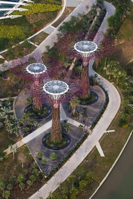 Gardens By The Bay By Grant Associates And Wilkinson Eyre
