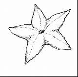 Starfish Coloring Pages Sea Printable Urchin Fish Kids Clipart Color Colouring Getcolorings Cliparts Results sketch template