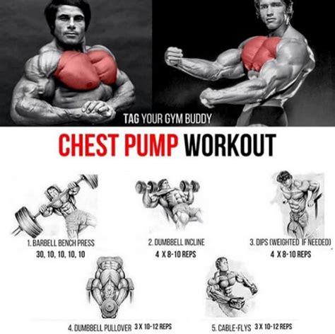 chest pump workout tag  gym buddy  stronger training yeah  train workouts